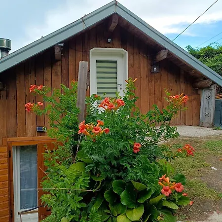 Al Sole * 费拉拉达尔帕戈